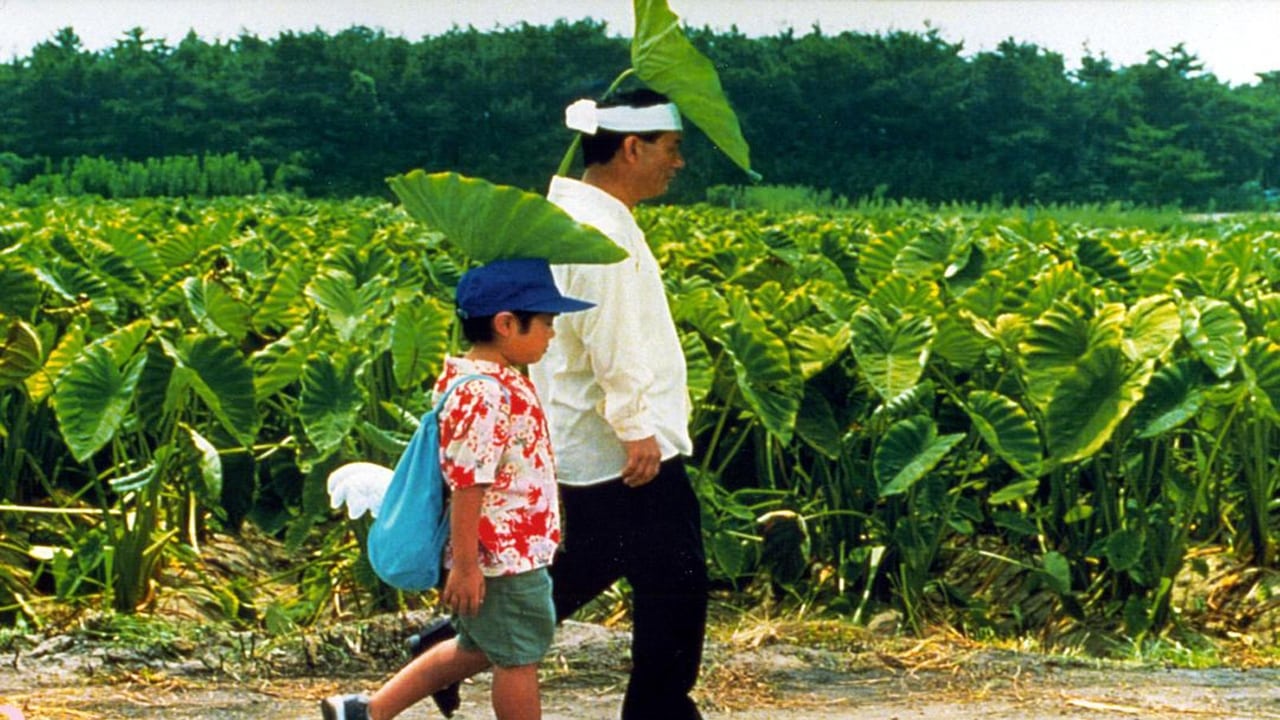 Mùa Hè Của Kikujiro