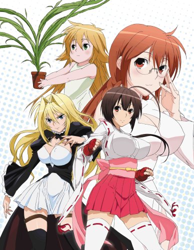 Sekirei: Hajimete no Otsukai