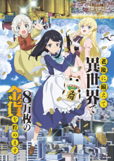 Rougo ni Sonaete Isekai de 8-manmai no Kinka wo Tamemasu